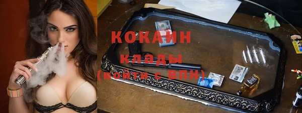 дмт Богородицк