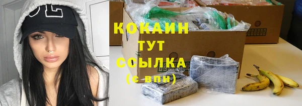дмт Богородицк