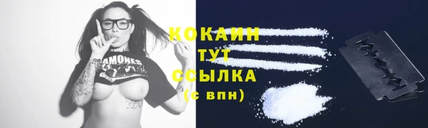 дмт Богородицк
