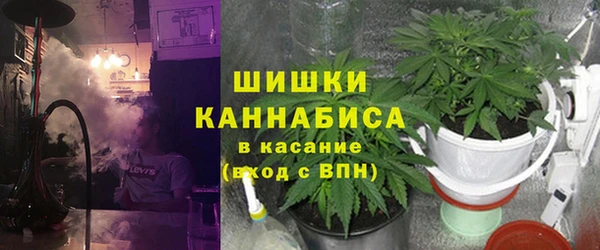 стафф Богородск