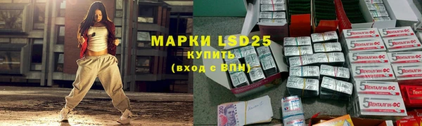 дмт Богородицк